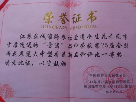 荷花一等奖奖状